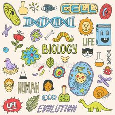 Biological life and eternal&nbsp;life.